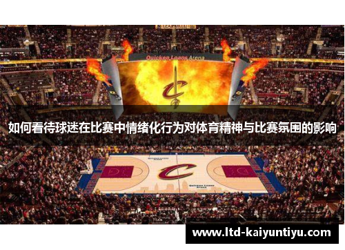 如何看待球迷在比赛中情绪化行为对体育精神与比赛氛围的影响