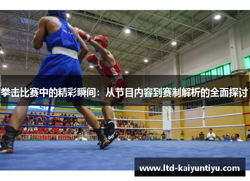 拳击比赛中的精彩瞬间：从节目内容到赛制解析的全面探讨