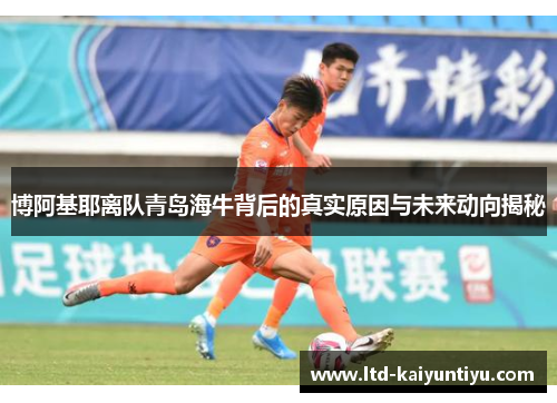 博阿基耶离队青岛海牛背后的真实原因与未来动向揭秘