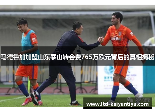 马德鲁加加盟山东泰山转会费765万欧元背后的真相揭秘